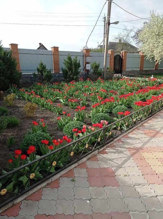 Продається будинок з 4 кімнатами в Іванівці