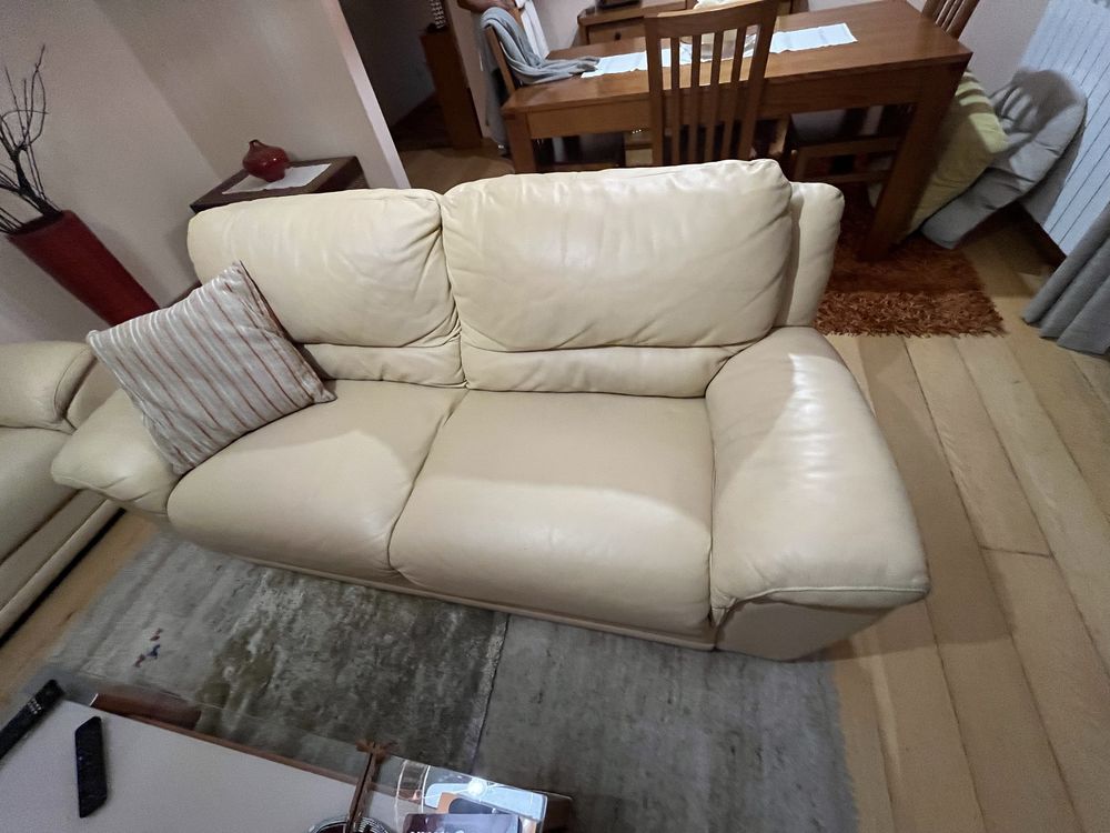 Sofas de cabedal (2 sofas )