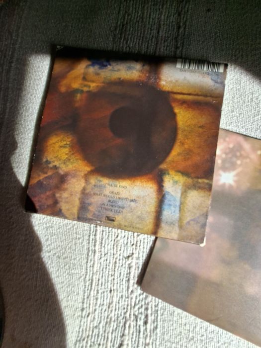 Cd dos Animal Collective