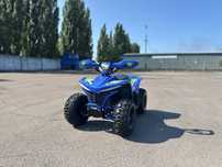 Новинка! Електроквадроцикл COMMAN TEA750D-01