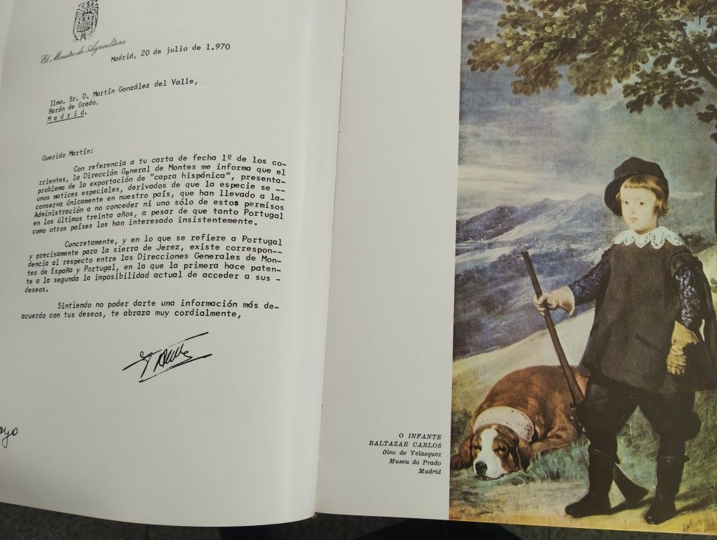 "A proposito da Caça". De: João Maria Bravo . Livro a muito bom preço