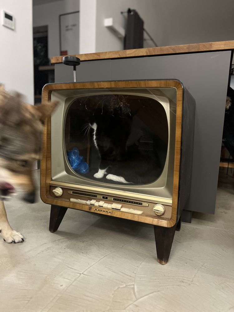 Domek dla kota z zabytkowego telewizora