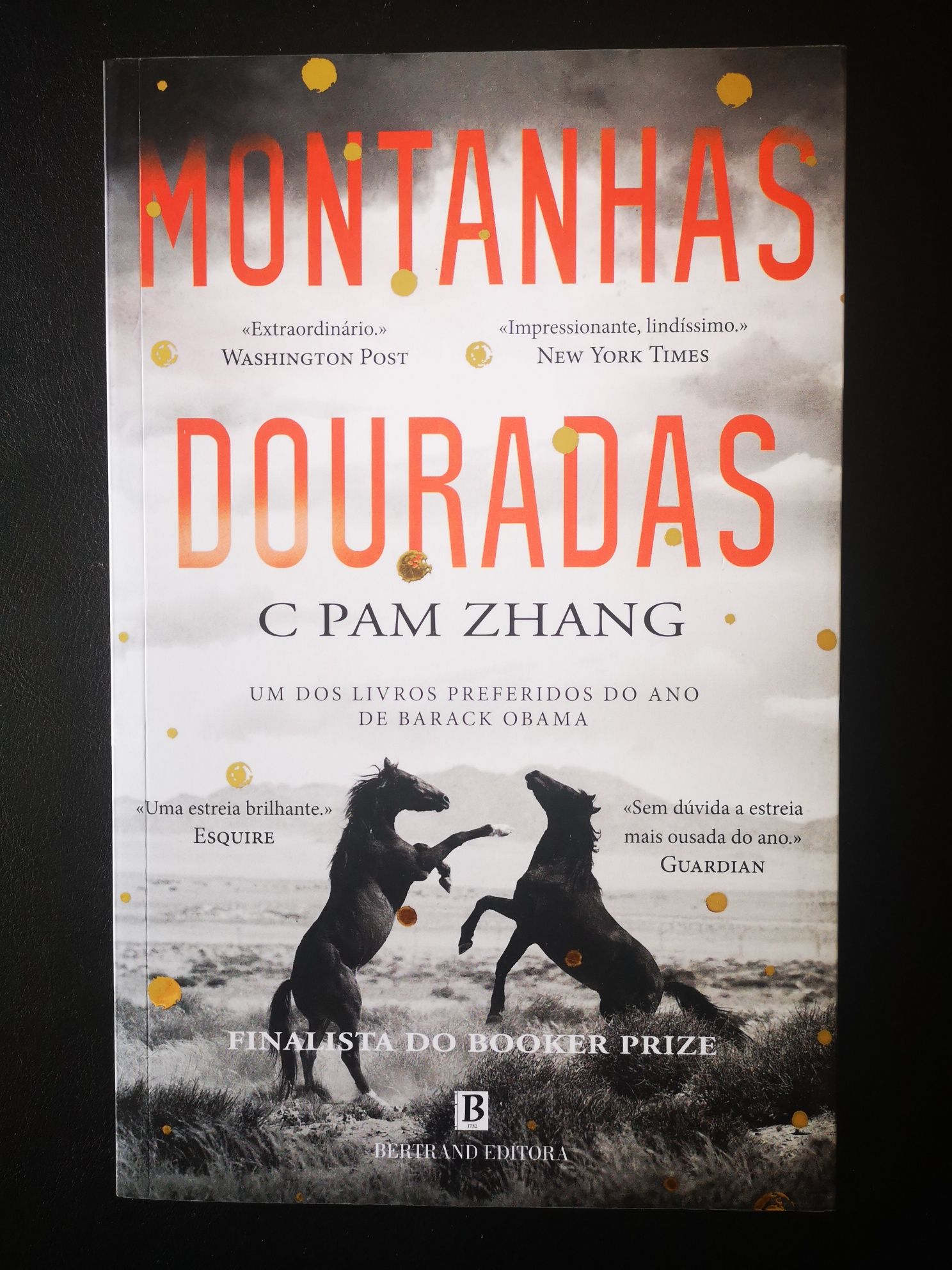 Montanhas Douradas - C Pam Zhang