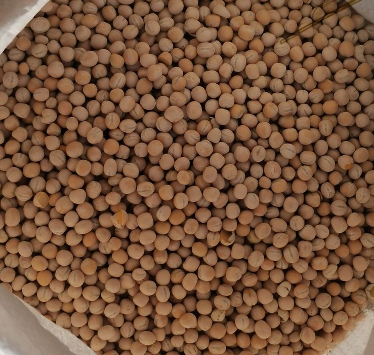 Groch opakowanie 20kg wysyłka natychmiast Inpost