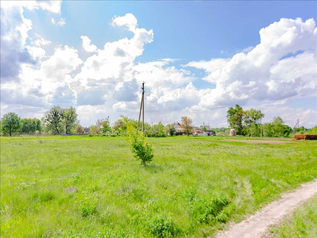 Є можливість зробити вихід до річки