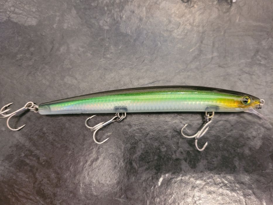 Woblery Rapala max rap + Salmo