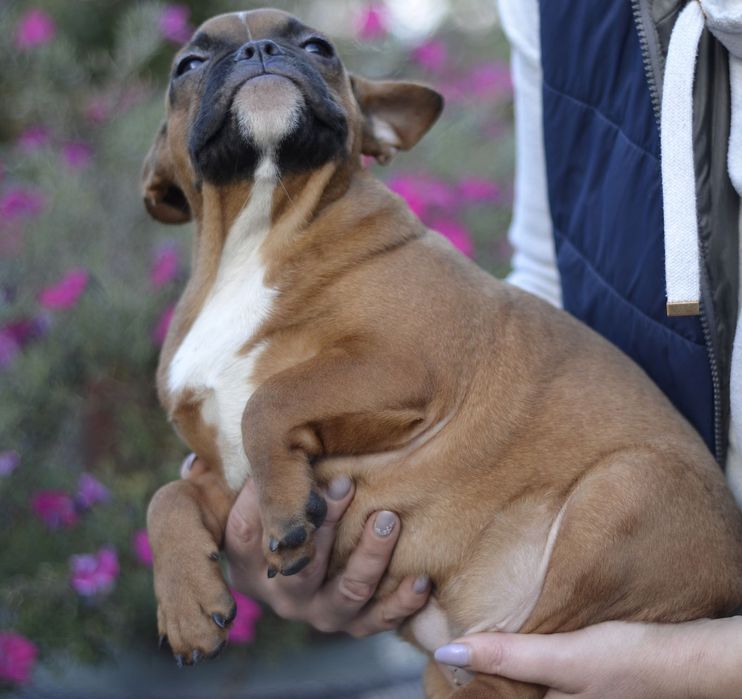 Яскраво червоний хлопчик