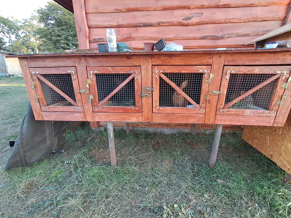 Klatka dla królików