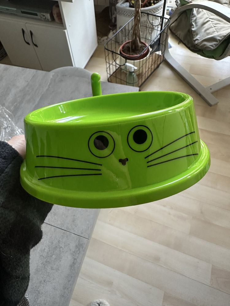 Miska dla kota Kotek