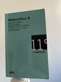 Matematica A 11°