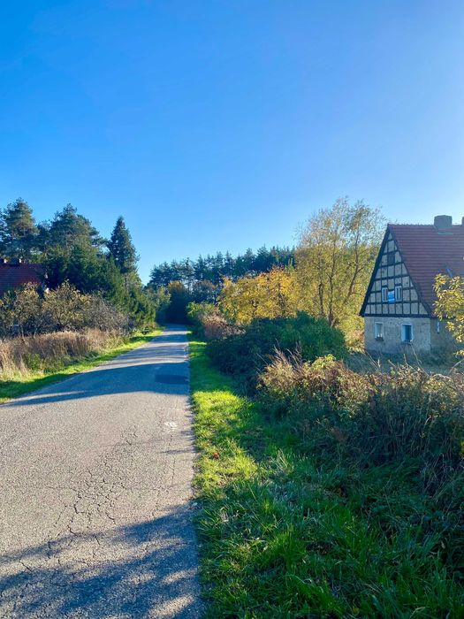 Duży dom na sprzedaż pod lasem, działka 6354 m², Wysokie k/Lubina