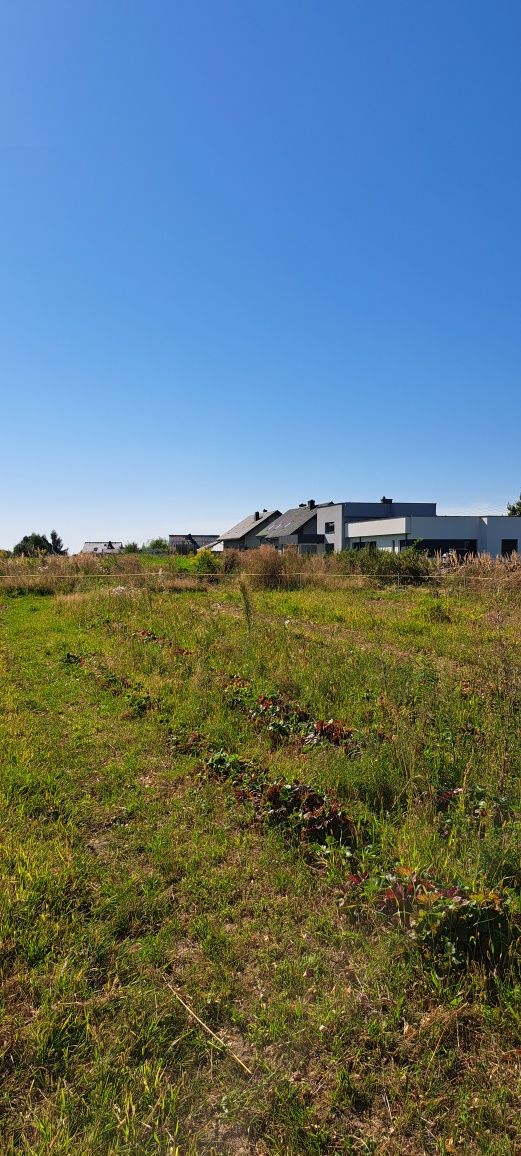 Sprzedam działki budowlane Pszów  Krzyżkowice