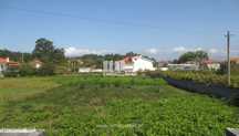 Venda de terreno para construção, Neiva, Viana do Castelo