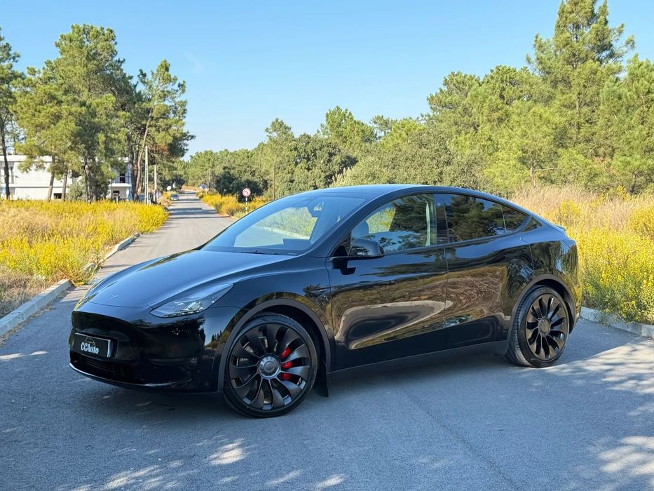 Tesla Model Y Performance Dual Motor AWD