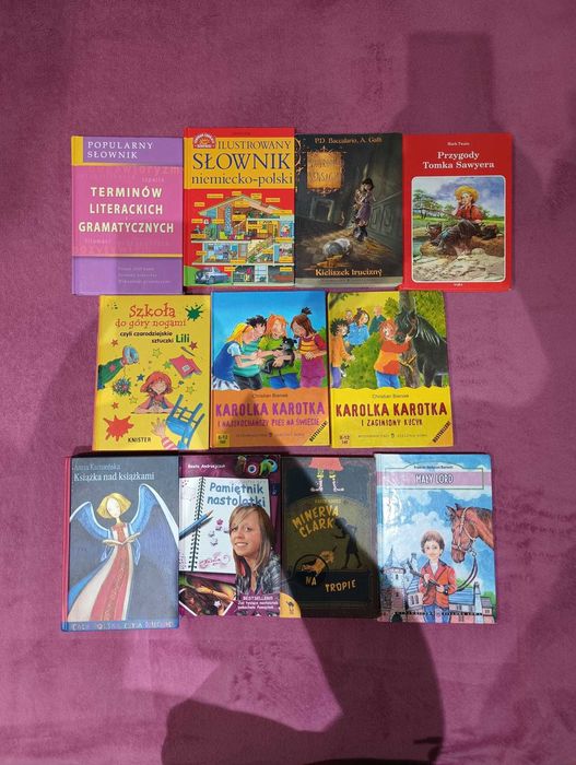 książki (encyklopedie, książki dla dzieci i inne)