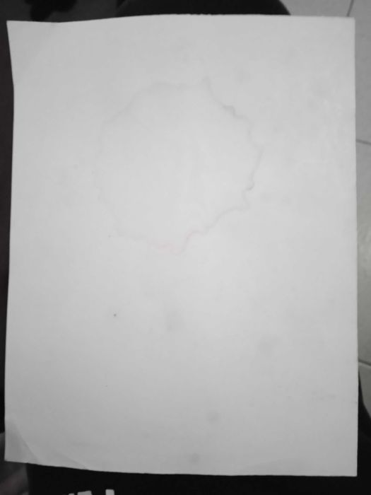 Portugal vs Noruega amigável junho 1966