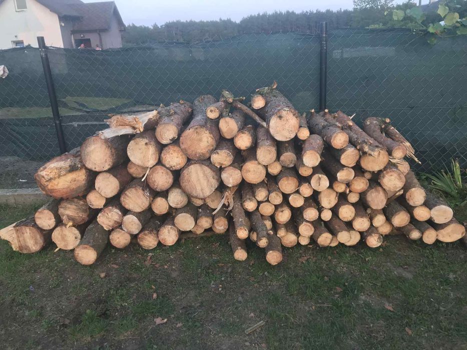 Posiadam na sprzedaż drewno opalowe sosna