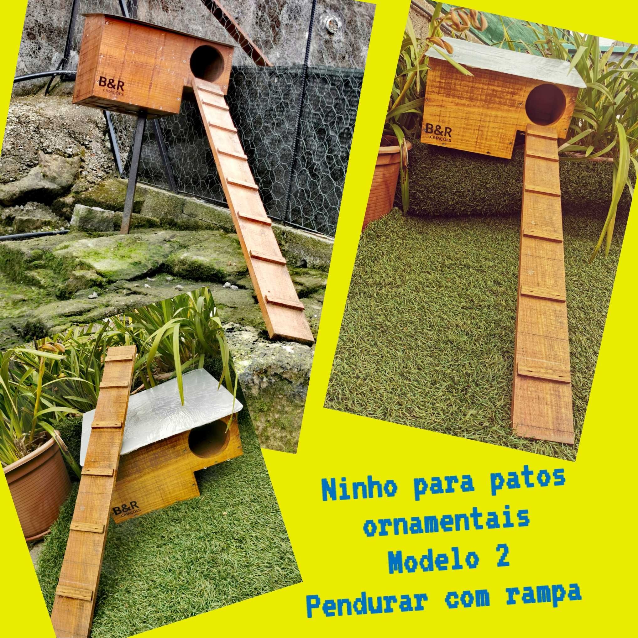 Ninhos para patos ornamentais