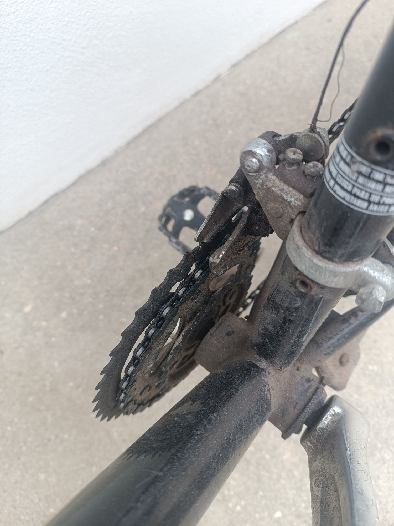Bicicleta adulto Typhoon
