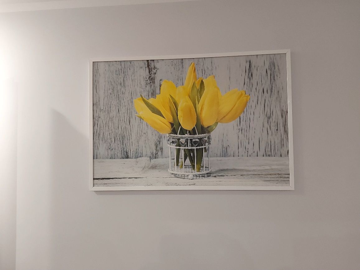Obraz żółte tulipany 90x60