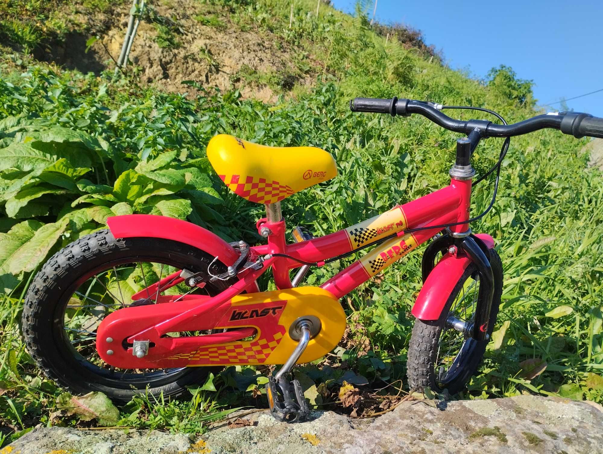 Vendo bicicleta berg