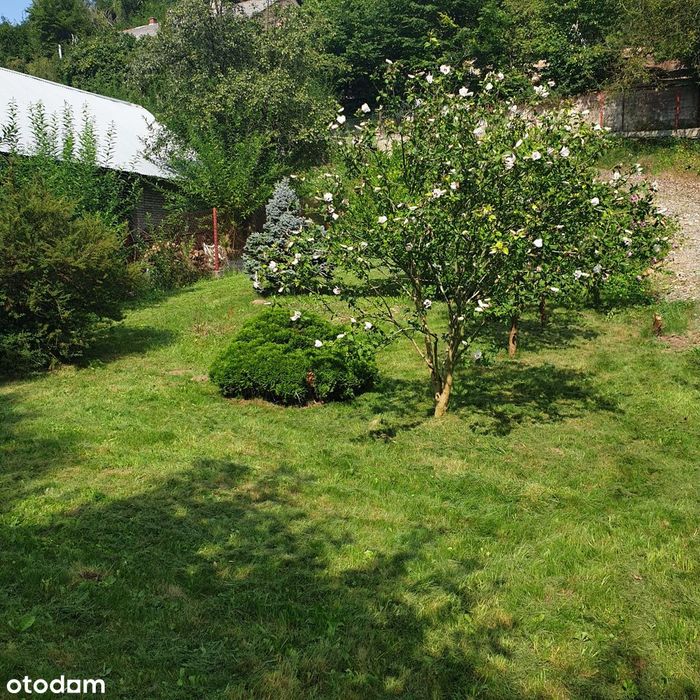 Szukasz małej,  malowniczej działki ze strumykiem, wśród gór i lasów?