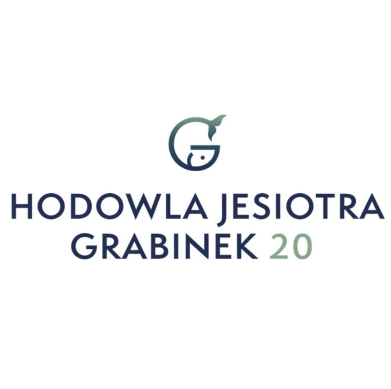 Jesiotr Syberyjski handlowy