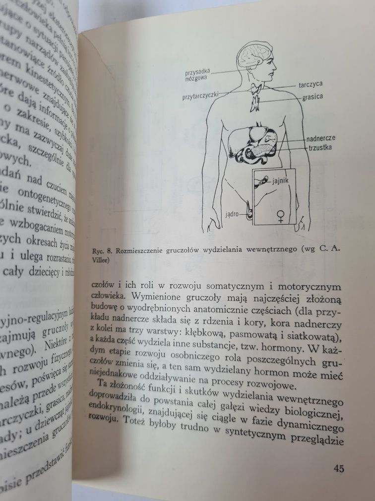 Rozwój somatyczny i motoryczny - Ryszard Przewęda
