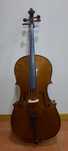 Violoncelo Stentor 1/2 para Iniciantes (arco e saco incluídos)