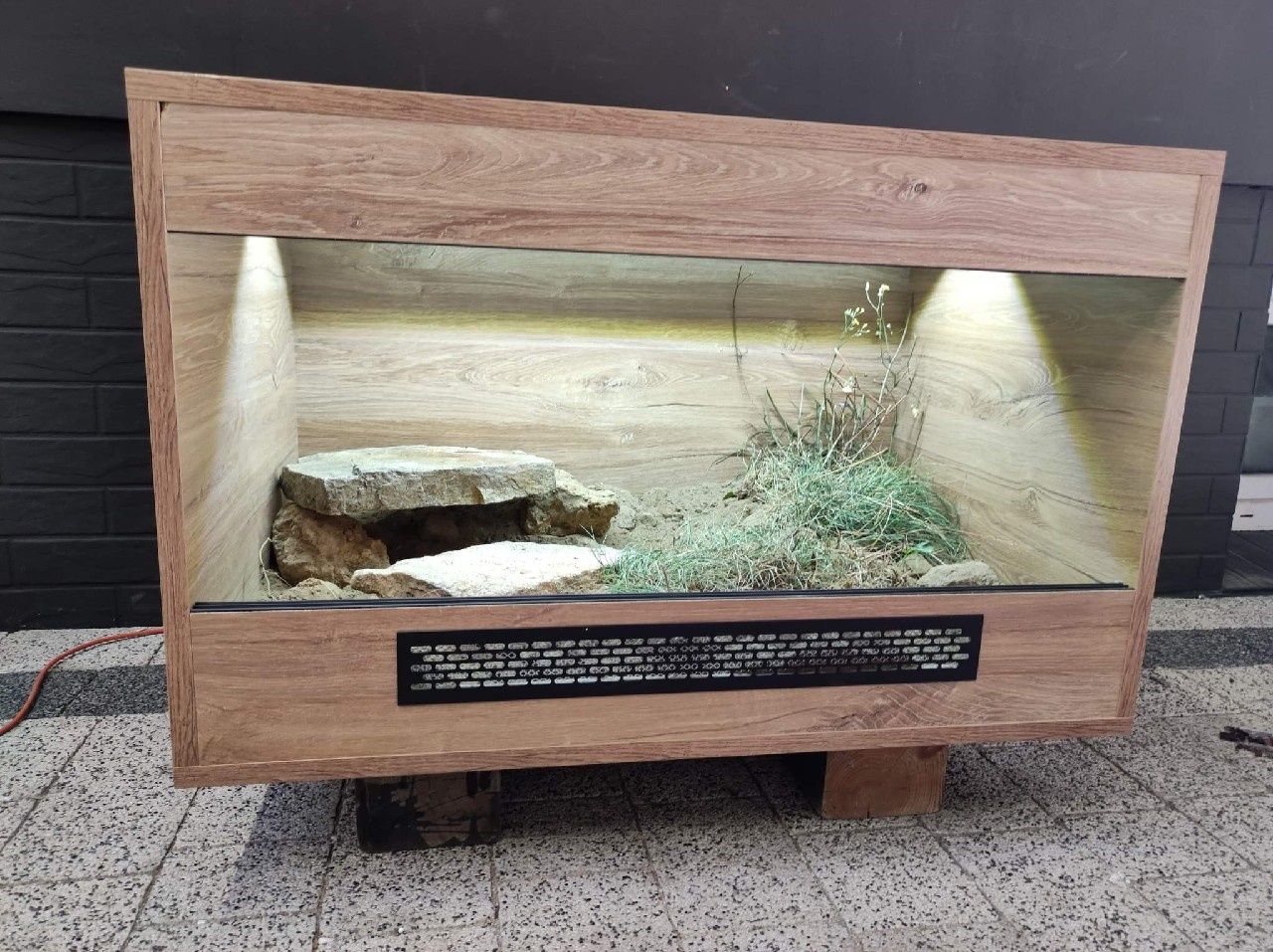 Terrarium dla żółwia