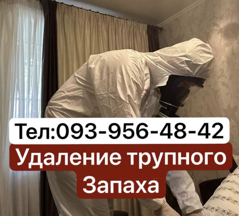 Удаление тухлого запаха , клининг после умершего , запах мочи , дыма
