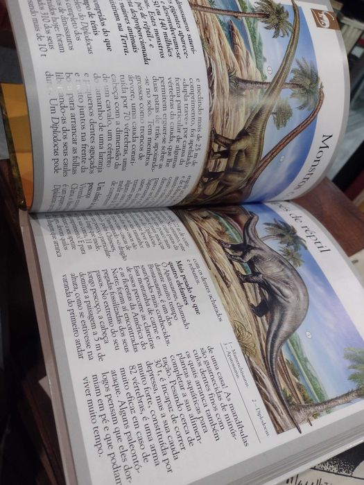 Dinossauros e Animais Desaparecidos - Laure Cambournac