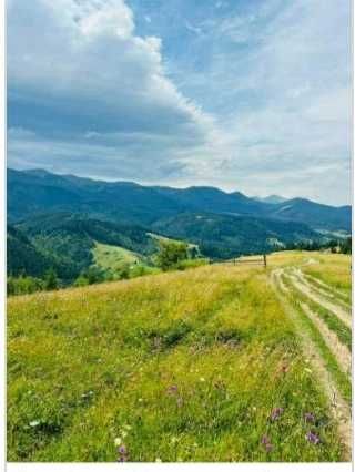 Від власника земельна ділянка в с.Дземброня.