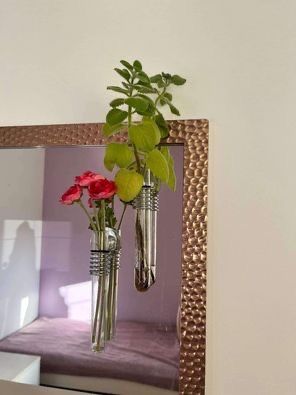 Probówka z przyssawką ukorzenianie dekoracja wazon