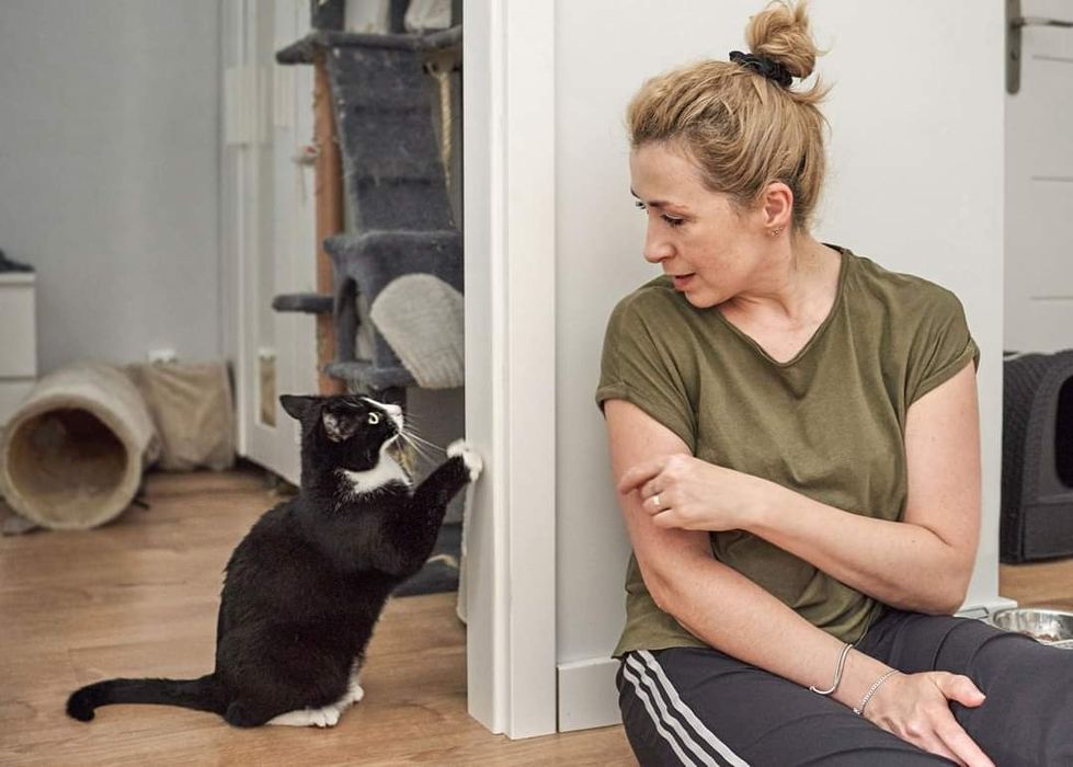 Behawiorysta/Petsitter/Opieka nad kotem w jego domu