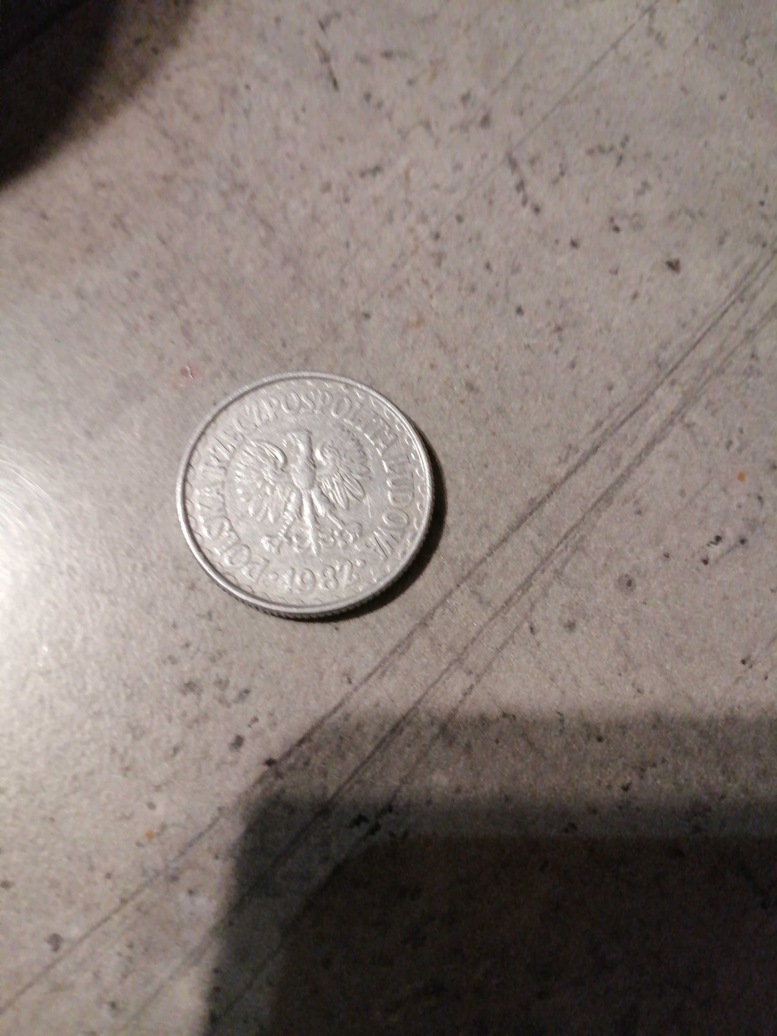 Moneta 1 zł z 1982