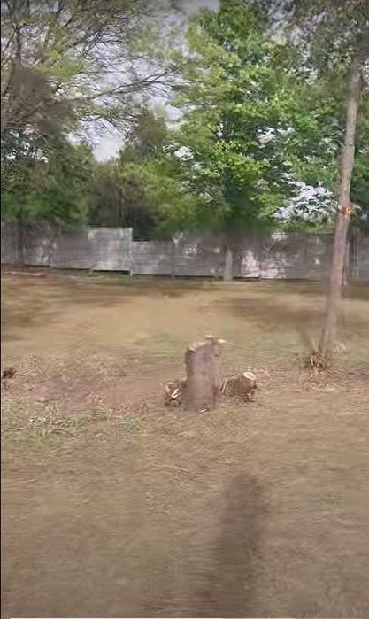 Комплексная уборка земельных и дачных участков по Кривому Рогу.