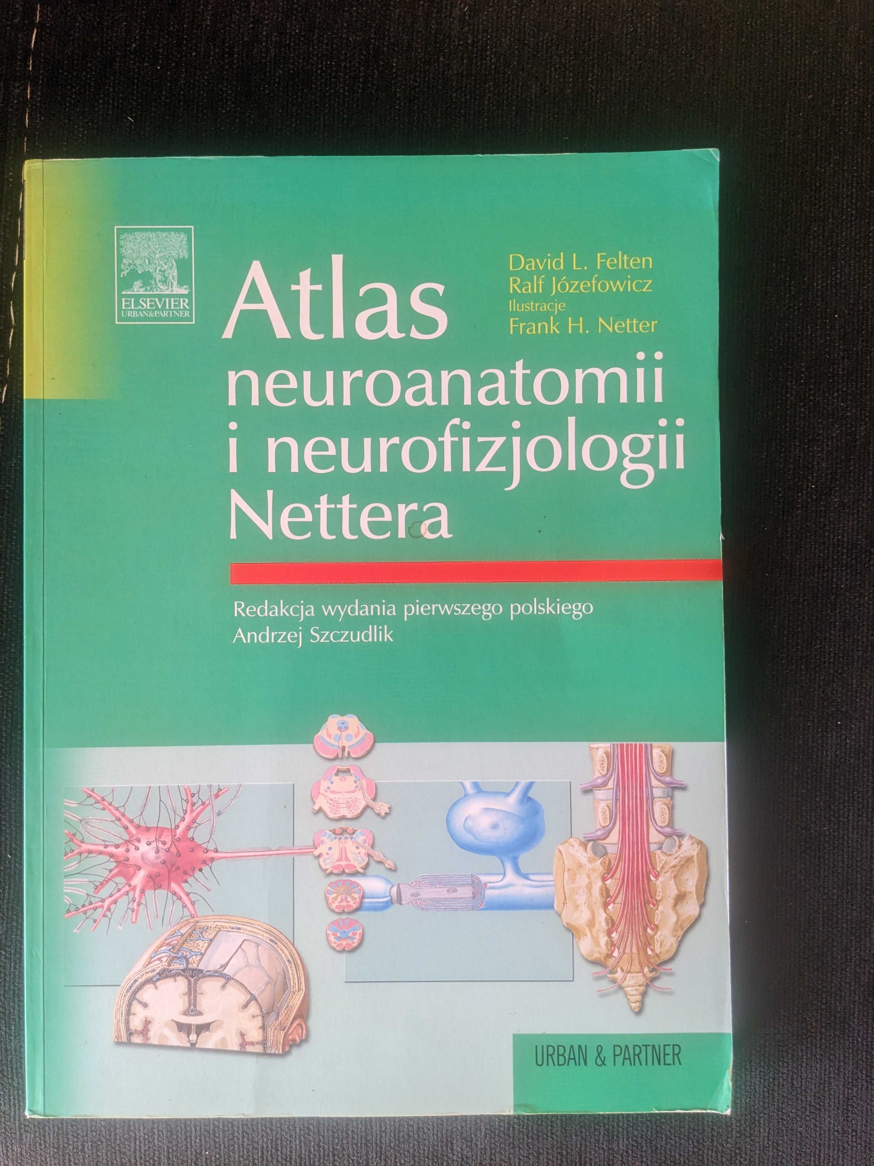 Atlas neuroanatomii i neurofizjologii Nettera