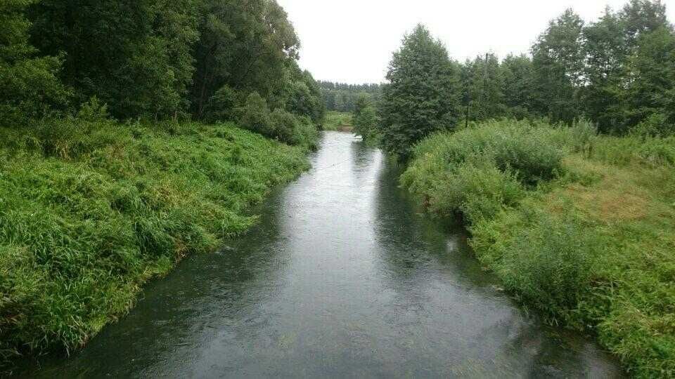 Atrakcyjna działka 4 891m² - Główka, gm. Gołdap