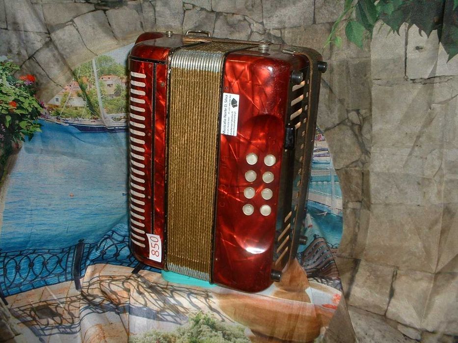 Concertina para venda N, 850