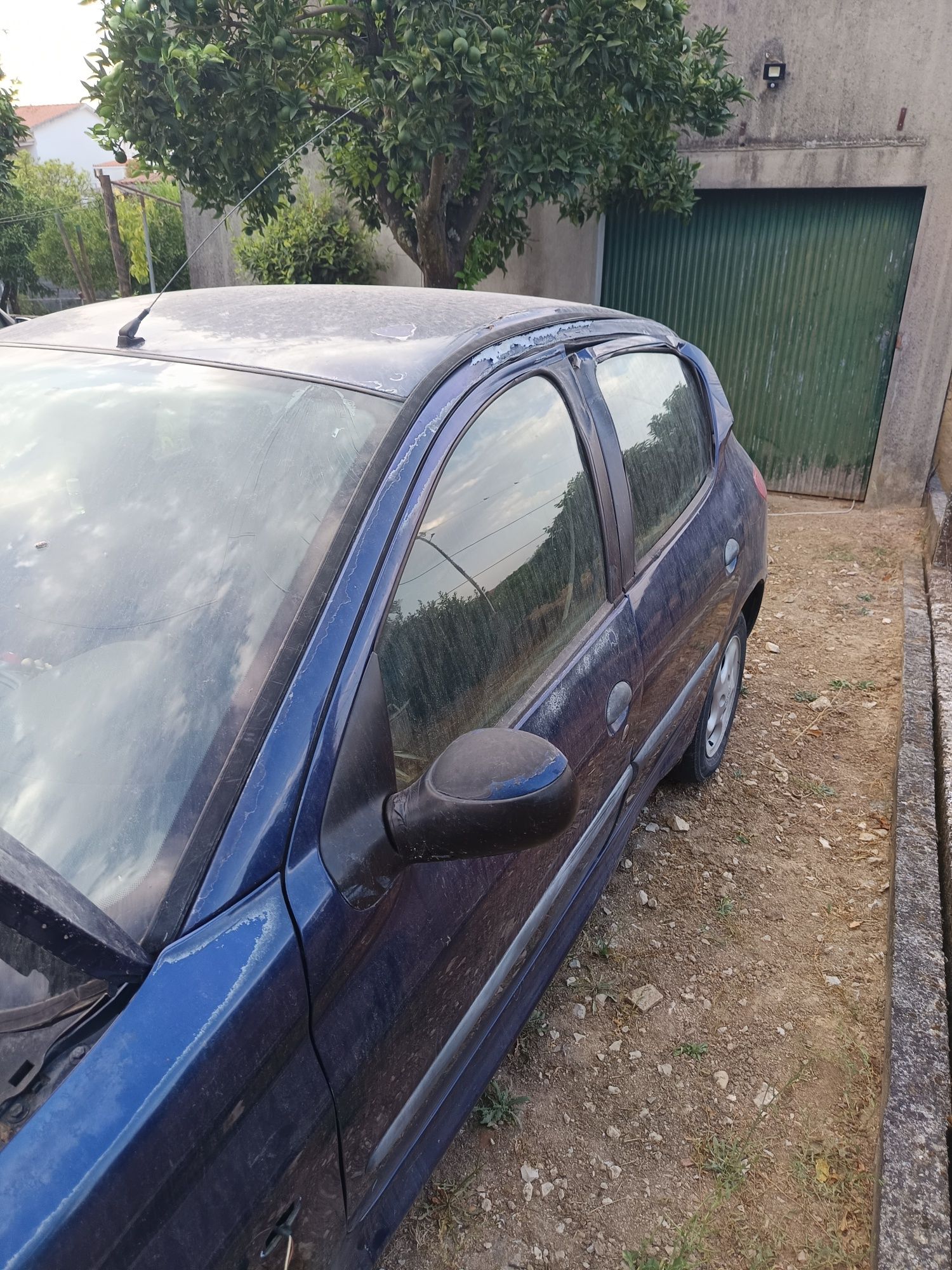 Peugeot 206 1.9 d