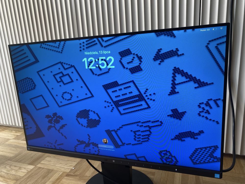 Monitor eizo FlexScan EV2450
