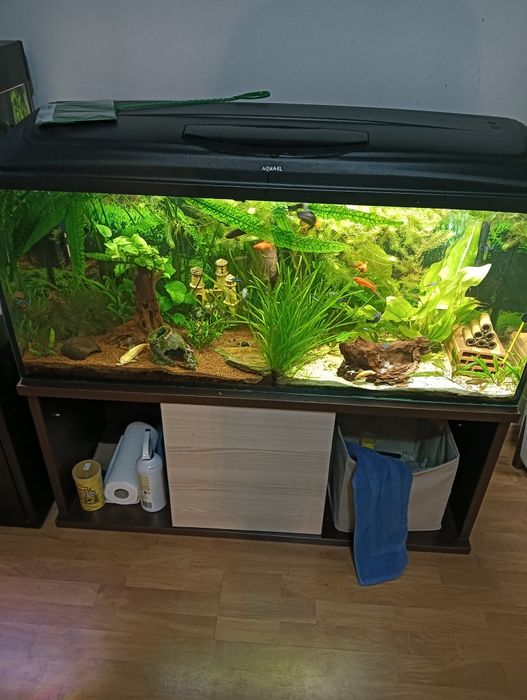Sprzedam akwarium 240 l
