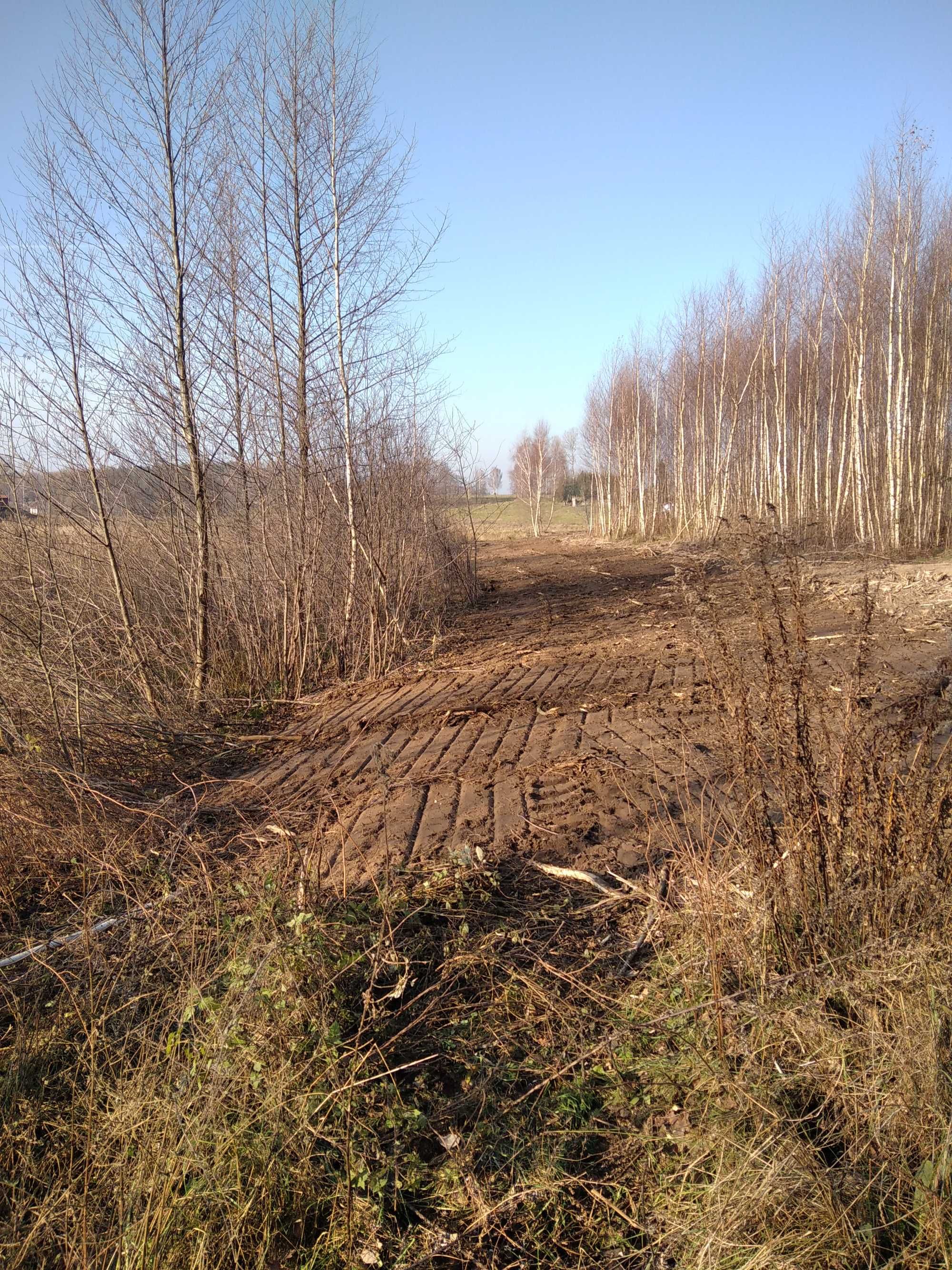 Warmia; działka rolna/siedliskowa z warunkami zabudowy