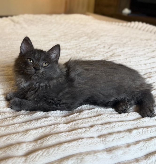 Два хлопчика шукають родину