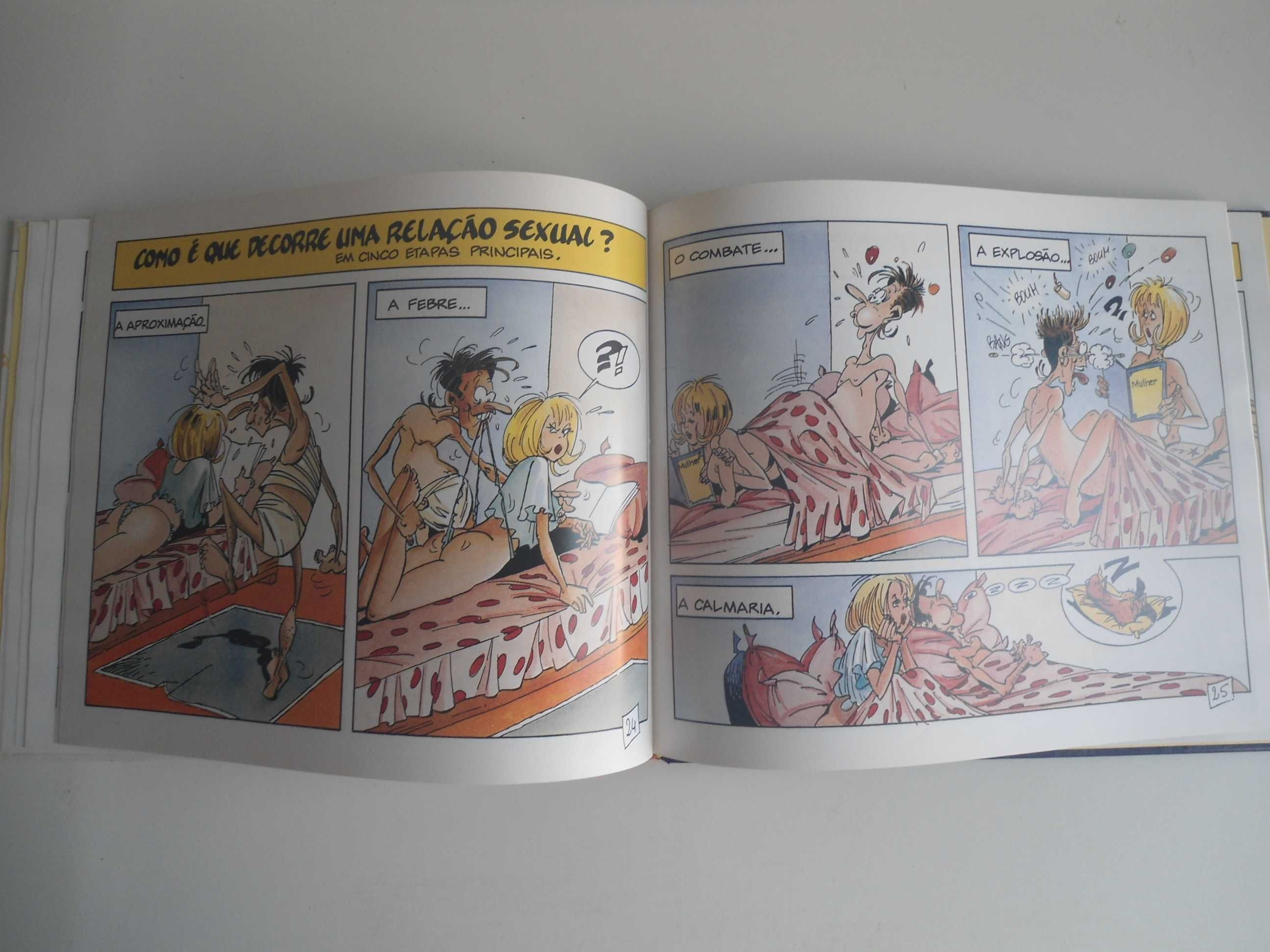 Tudo ou quase tudo sobre A Sexualidade do Homem por Goupil/Tybo