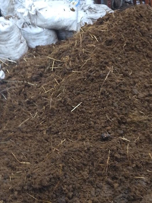 ,Навоз чистый  . конский.