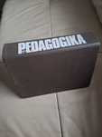 Pedagogika podręcznik akademicki