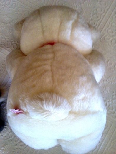 2 Bonecos de Peluche (novos)