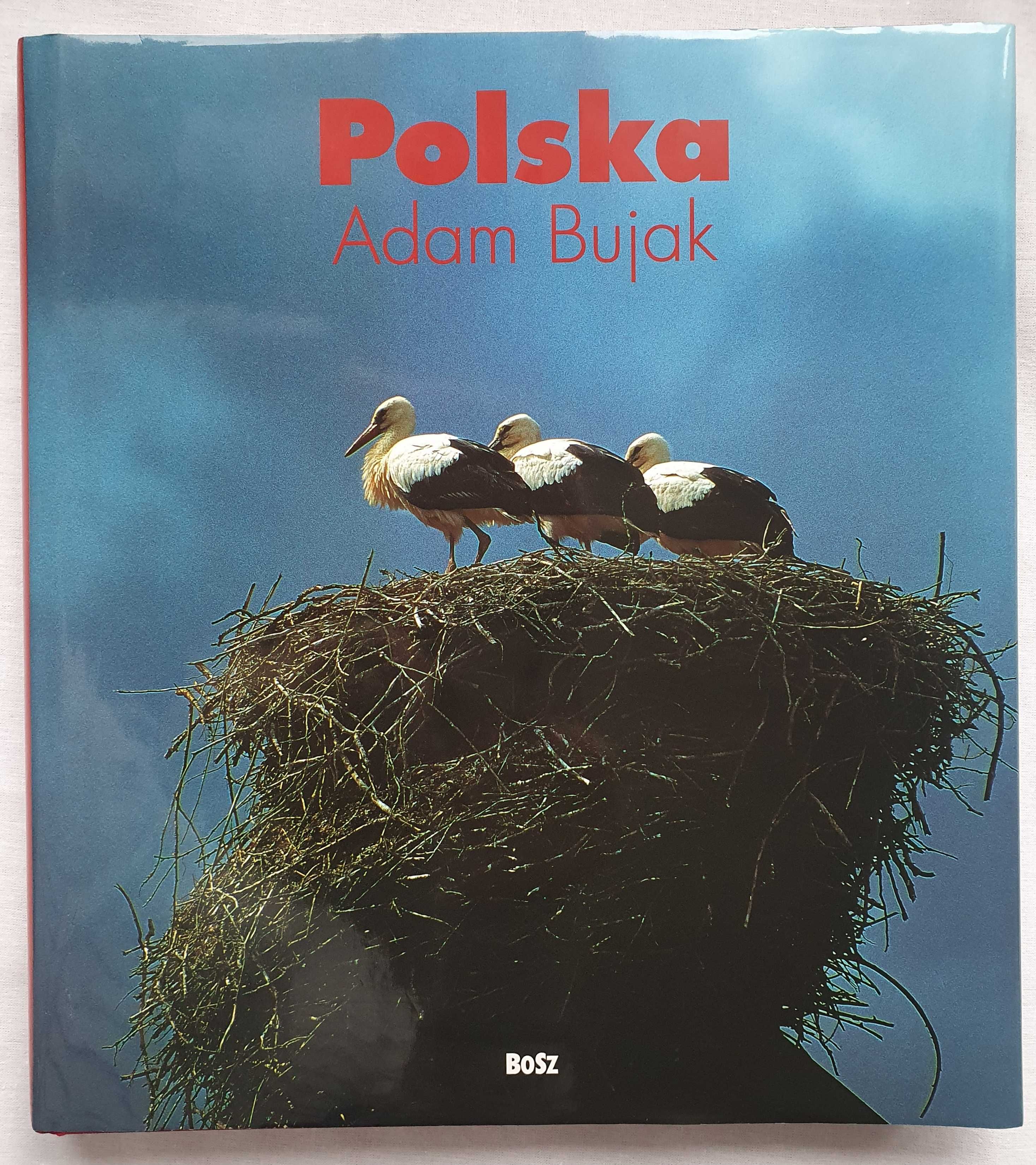 Adam Bujak Kolekcja Polska Album